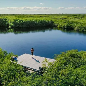 Cormoran & Cenote *** Tulum